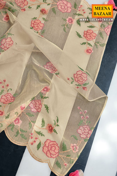 Cross Stitched Thread Embroidered Cream Net Suit