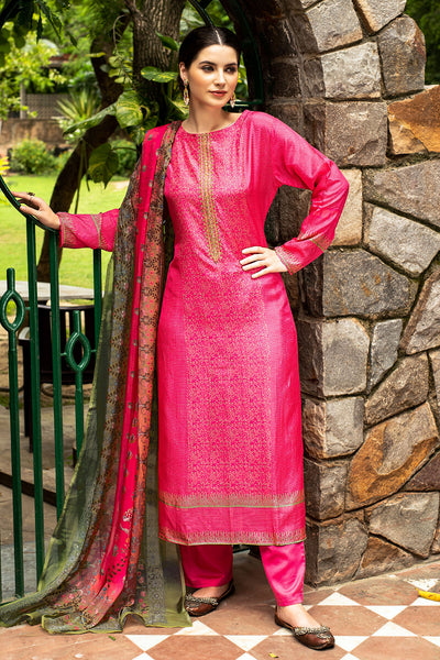 Rani Muslin Neck Embroidered Suit Set
